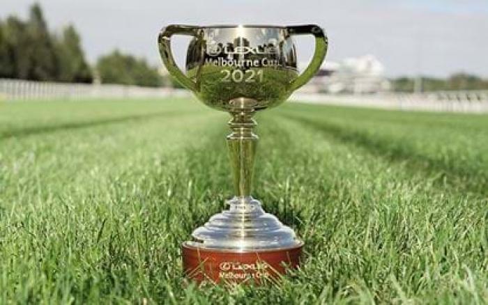 WINNER 2021 Melbourne Cup - VERY ELLEEGANT (4)