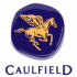 View Event: Caulfield Guineas Day 2024
