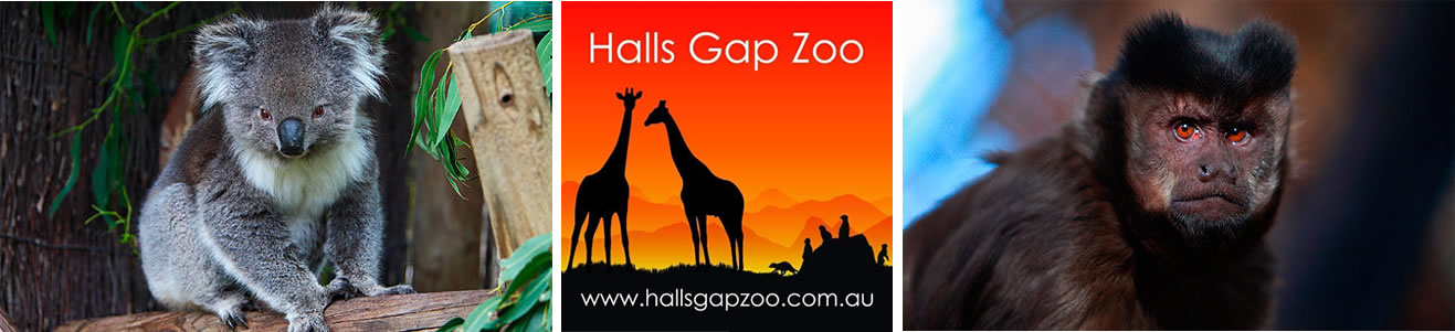 Halls Gap Zoo | Open