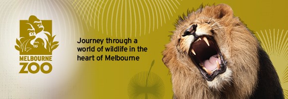 Melbourne Zoo | Open & Tickets