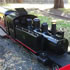 View Event: Springvale Live Steamers | Miniature Railway