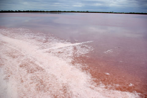 Pink Lake - Dimboola