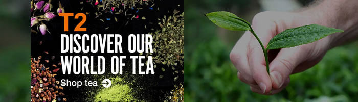 T2 Tea | Shop Online