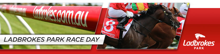Thoroughbred Racing @ Sandown Thoroughbred Racing @ Sandown
