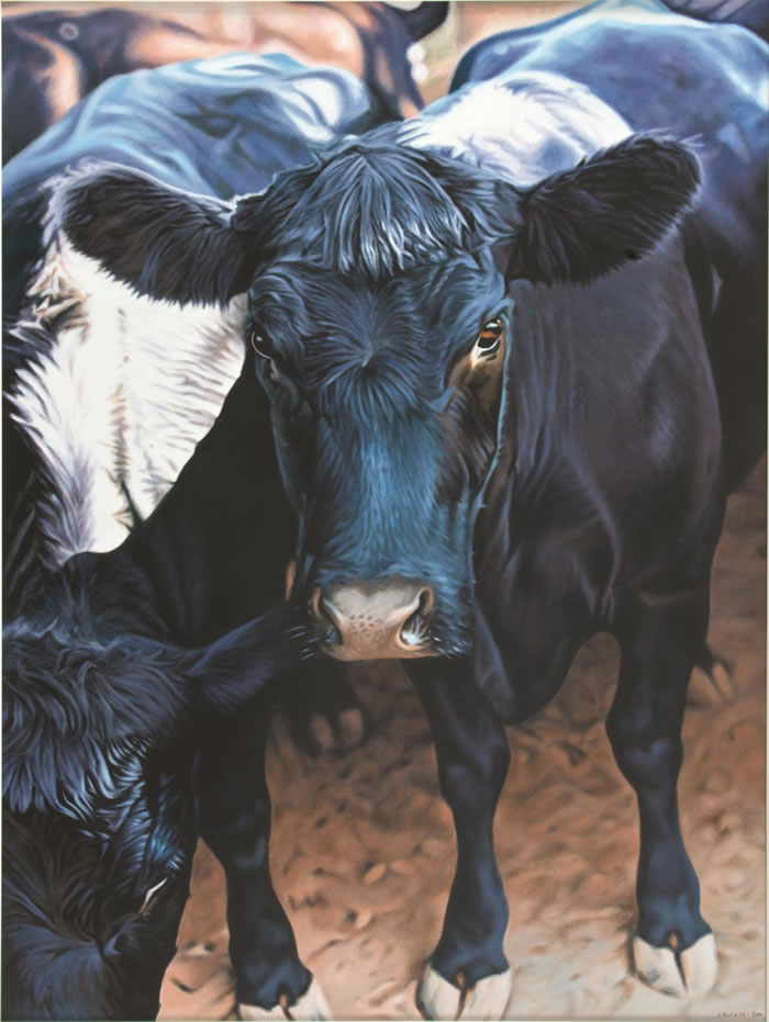 Ivan Durrant: Barrier Draw