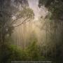 View Event: Karen Robinson: Photographic Portraits of Nature